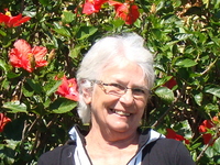 Susan Chamberlin